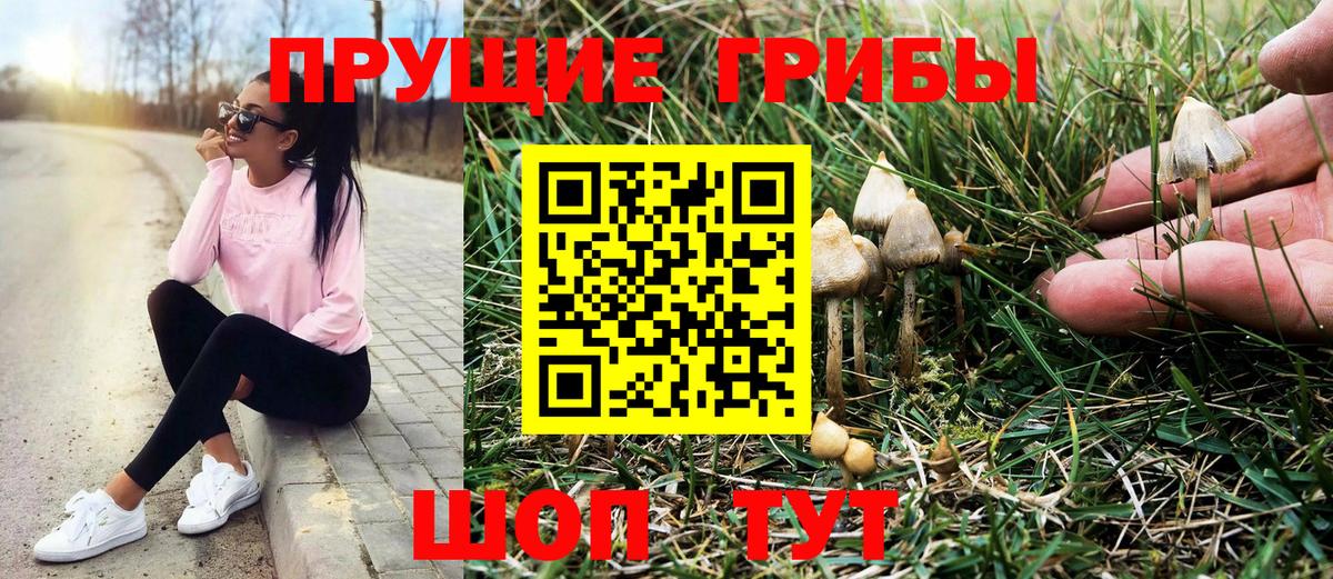 Псилоцибиновые грибы мицелий  Вход с VPN  Псилоцибиновые грибы Psilocybe  Чистополь 